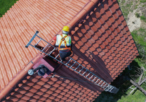 Best Roof Insulation Installation  in Mountain Village, CO